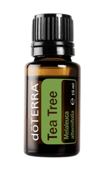 Tea Tree (Teebaum) Melaleuca alternifolia 15 ml. Flasche